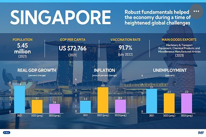 Singaporean Side Income