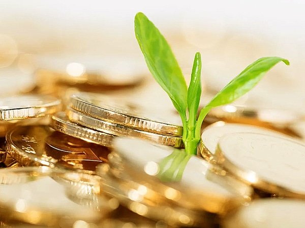 Trust Services Company