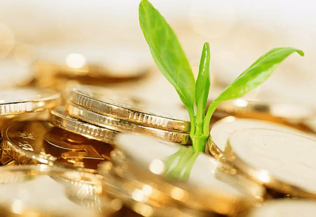 Corporate Share Trust Management