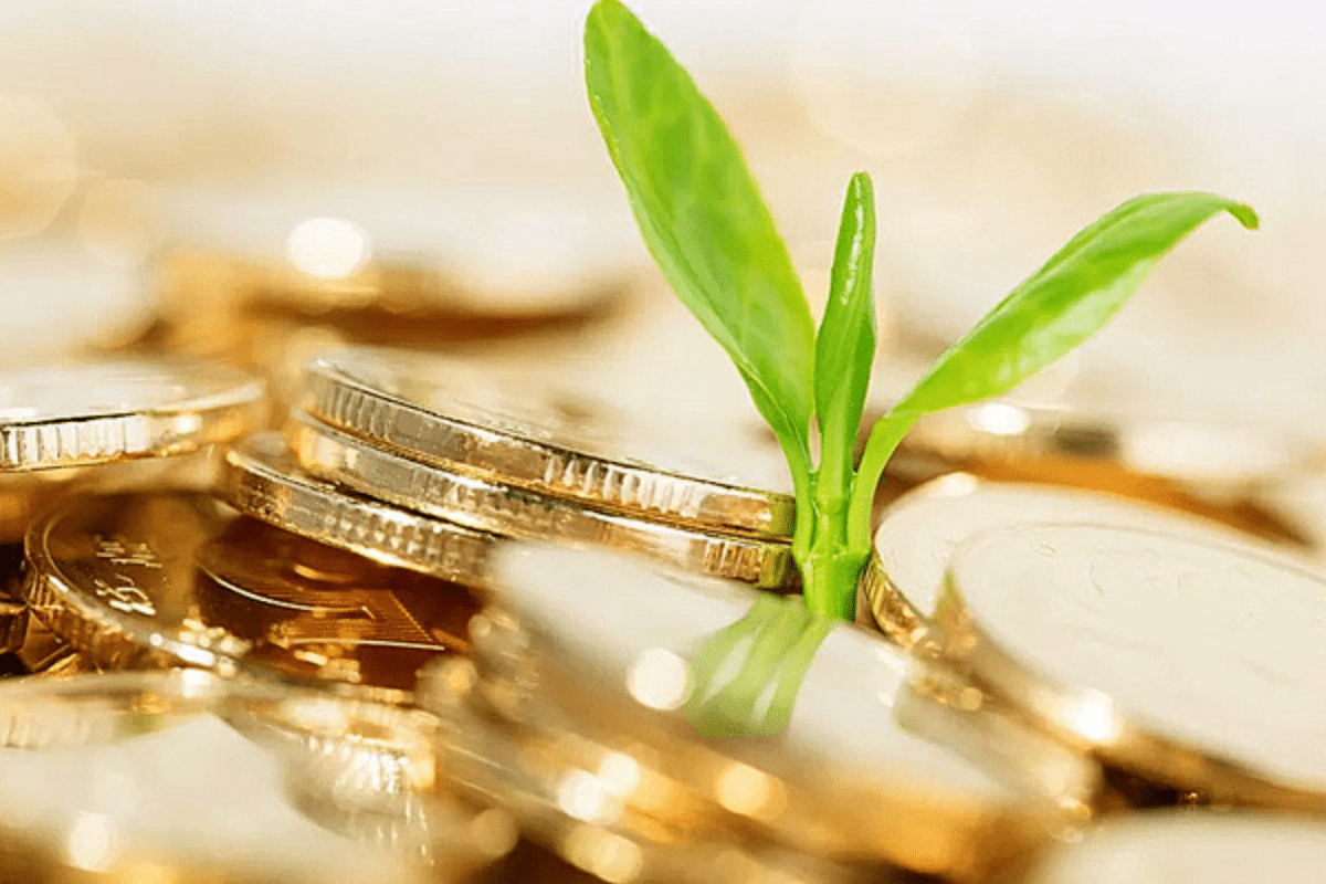 Corporate Share Trust Management