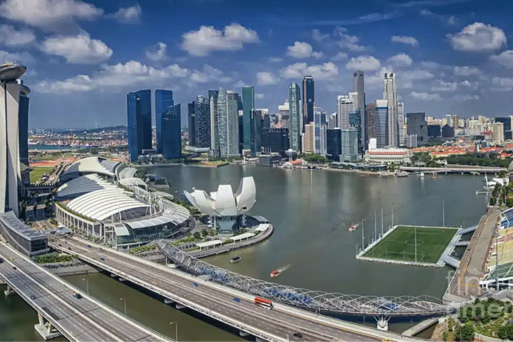 Singapore enterprise landscape overview